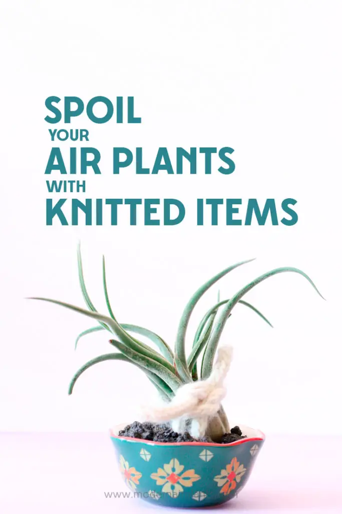 Knit - get your needles going for your air plants