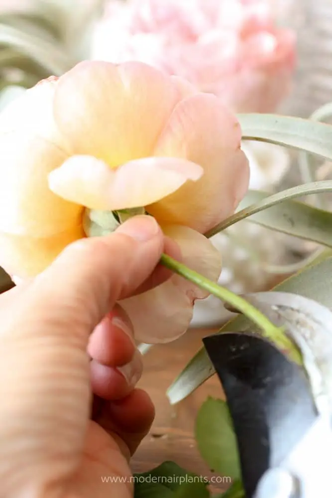 Cut flower stems at an angle