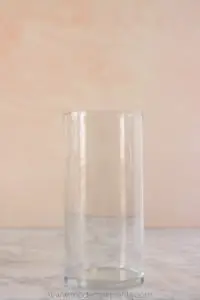 vase for air plant gift