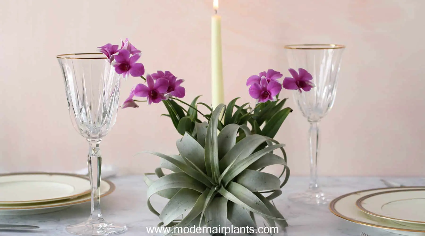romantic table setting with air plants
