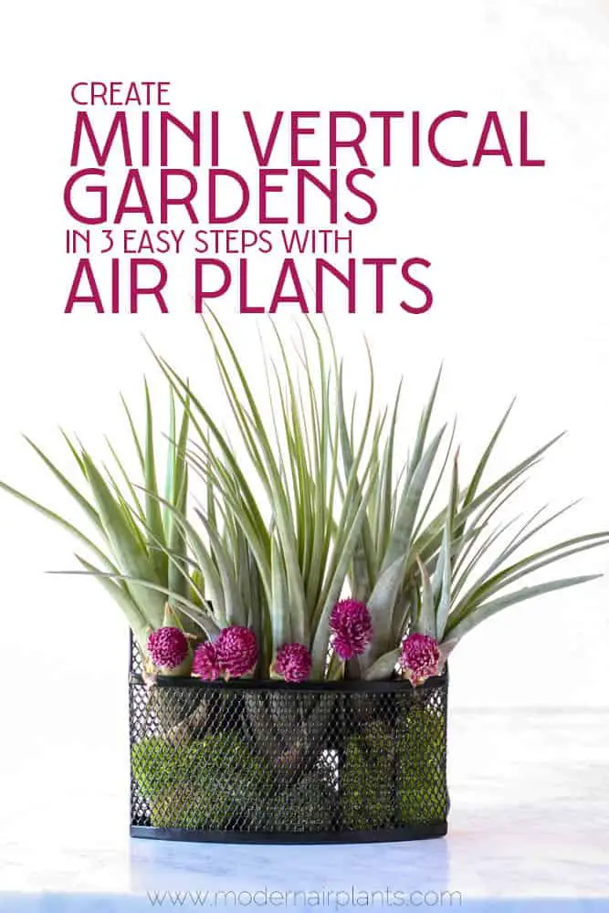 You'll love this 3 step tutorial for vertical mini gardens